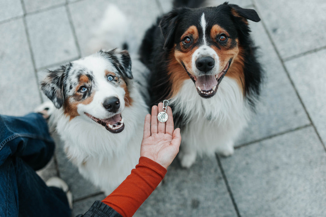 Zawieszka do kluczy DOG MOM