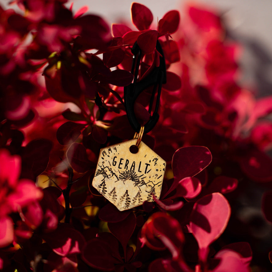 Adresówka dla psa GOLDEN RIDGE