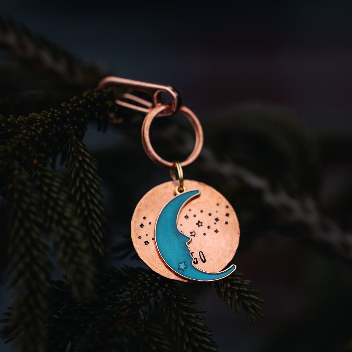 Adresówka dla psa MOONLIGHT nocna edycja