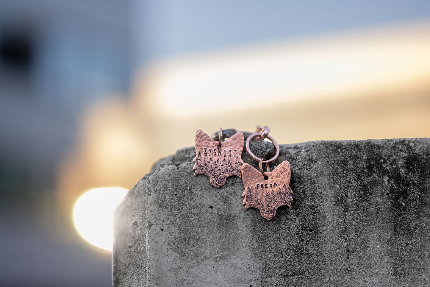 Adresówka dla psa FOREST FOX