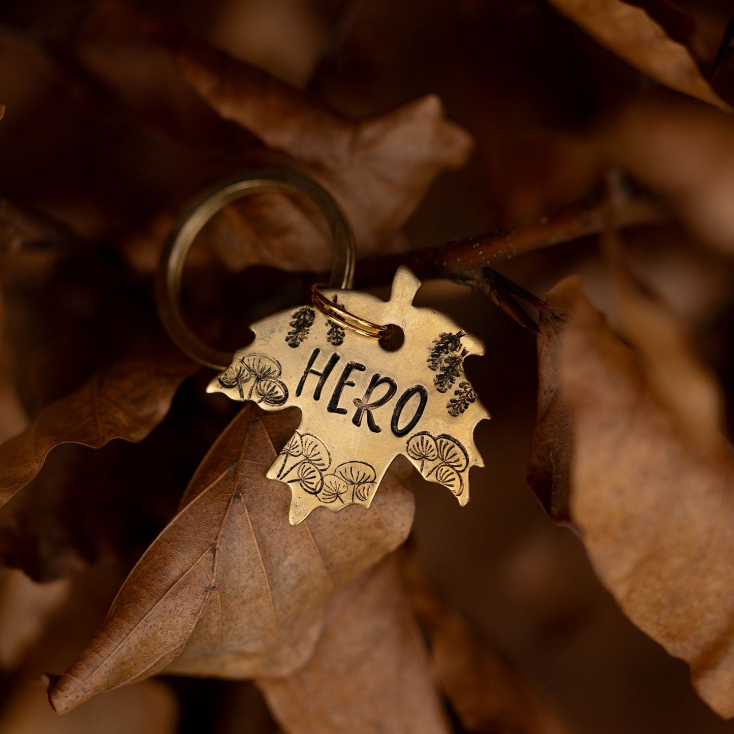 Adresówka dla psa Autumn Breeze