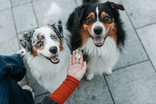 Zawieszka do kluczy DOG MOM