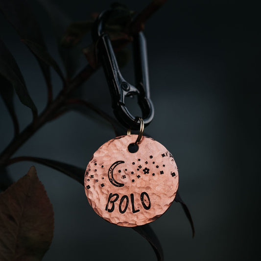 Adresówka dla psa MOONLIGHT