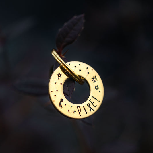 Adresówka dla psa GALAXY CIRCLE