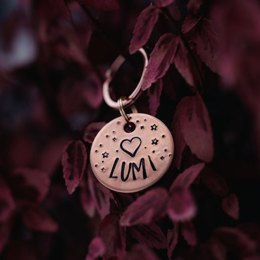 Adresówka dla psa SWEETHEART