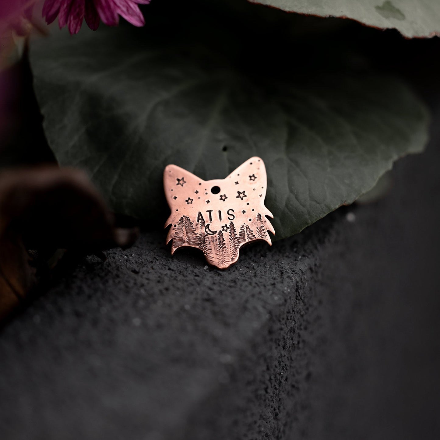 Adresówka dla psa FOXY CHARM