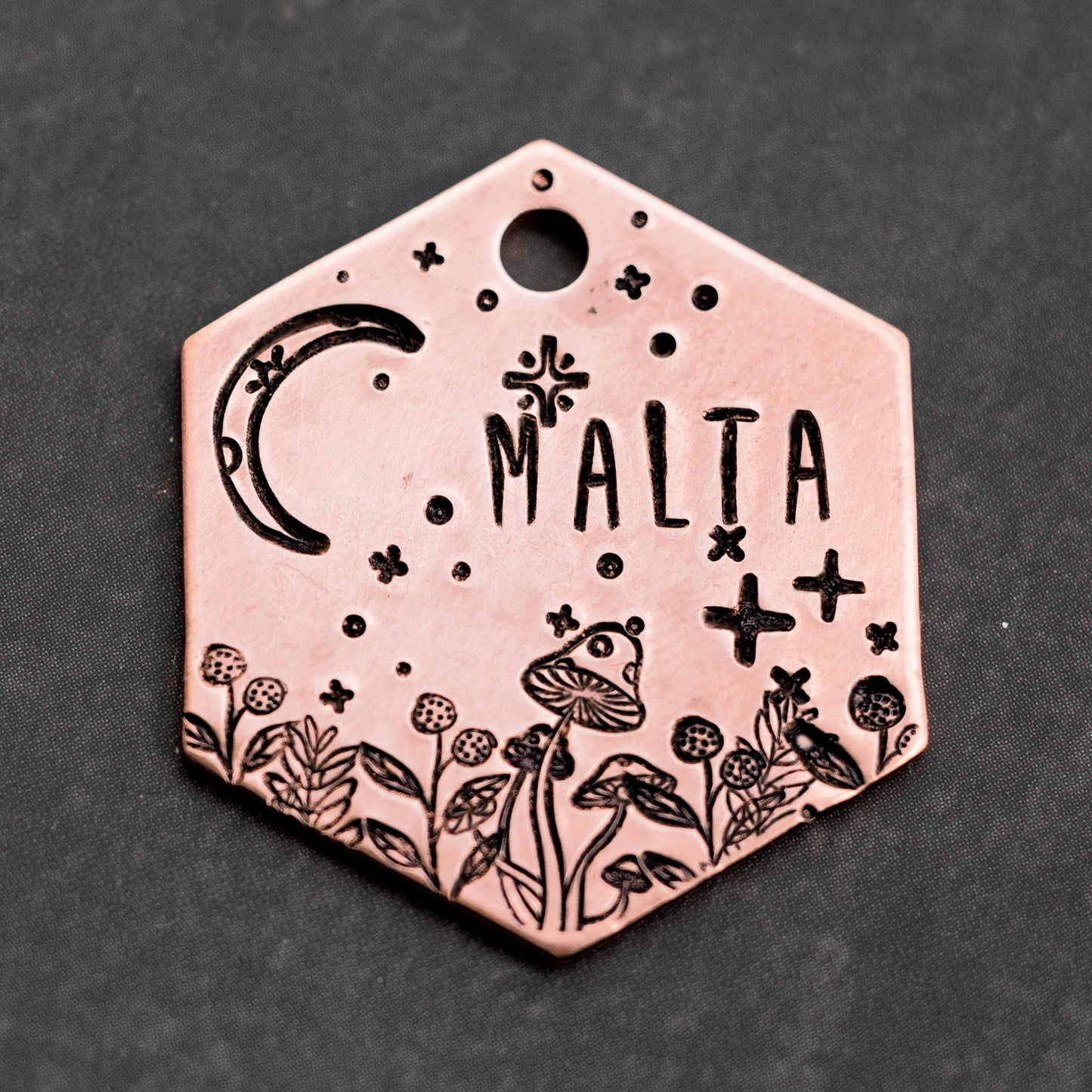 Adresówka dla psa LUNAR TRAIL