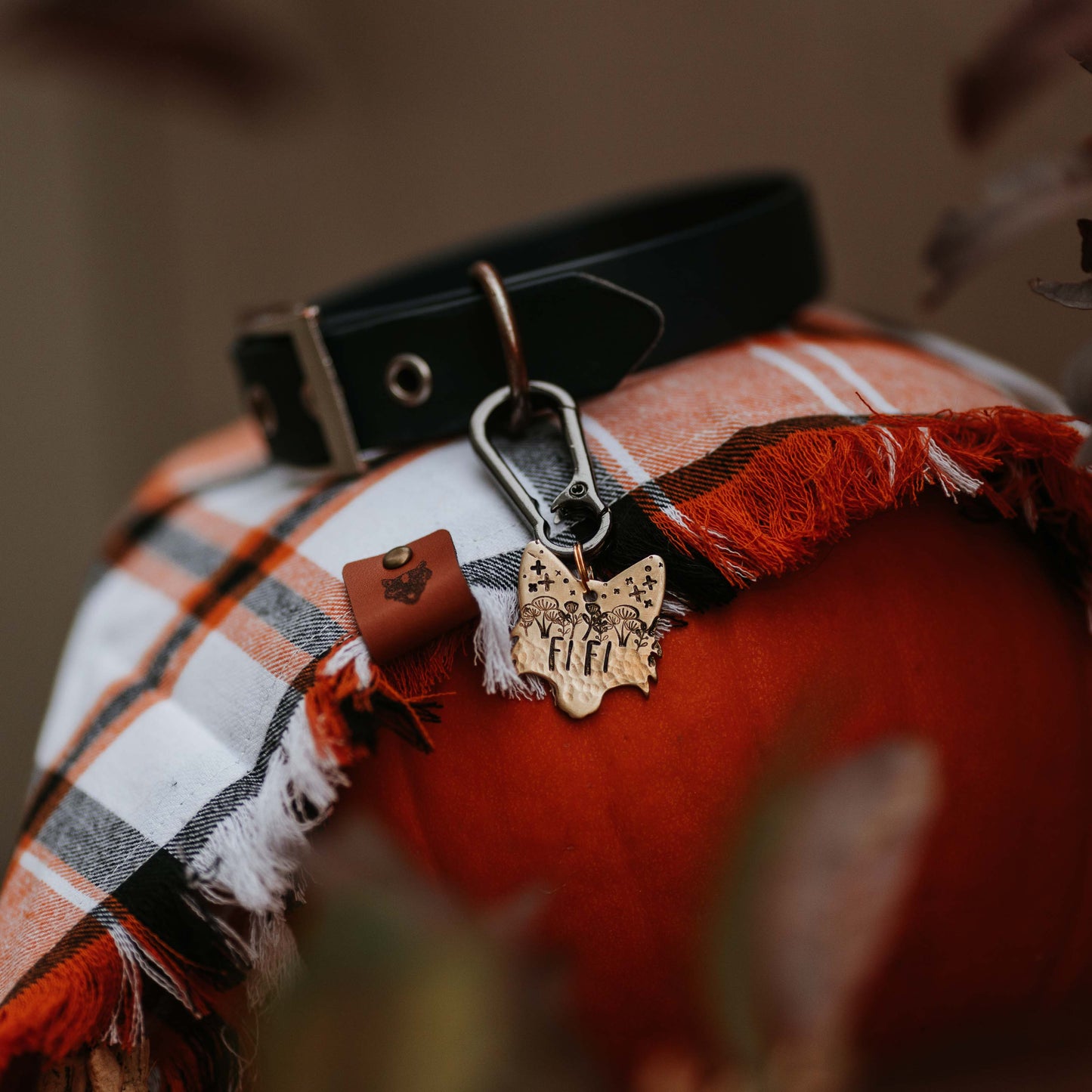 Adresówka dla psa WILDWOOD FOX