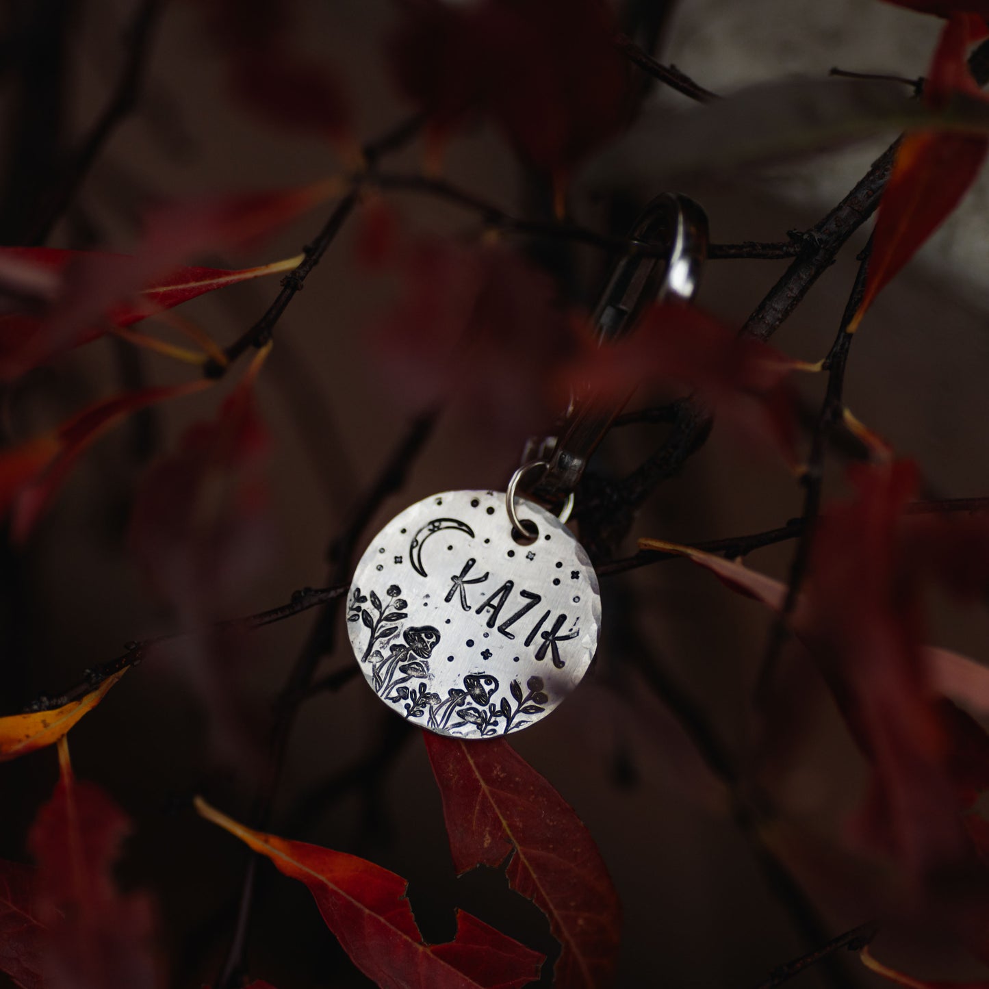 Adresówka dla psa LUNAR GARDEN