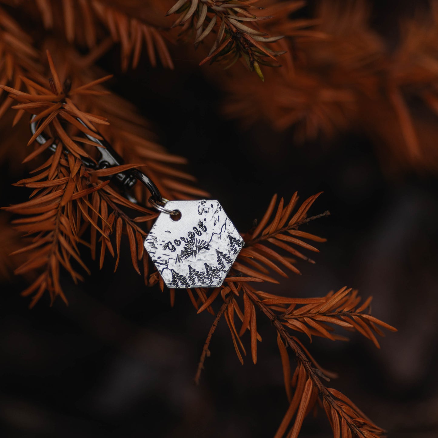 Adresówka dla psa GOLDEN RIDGE