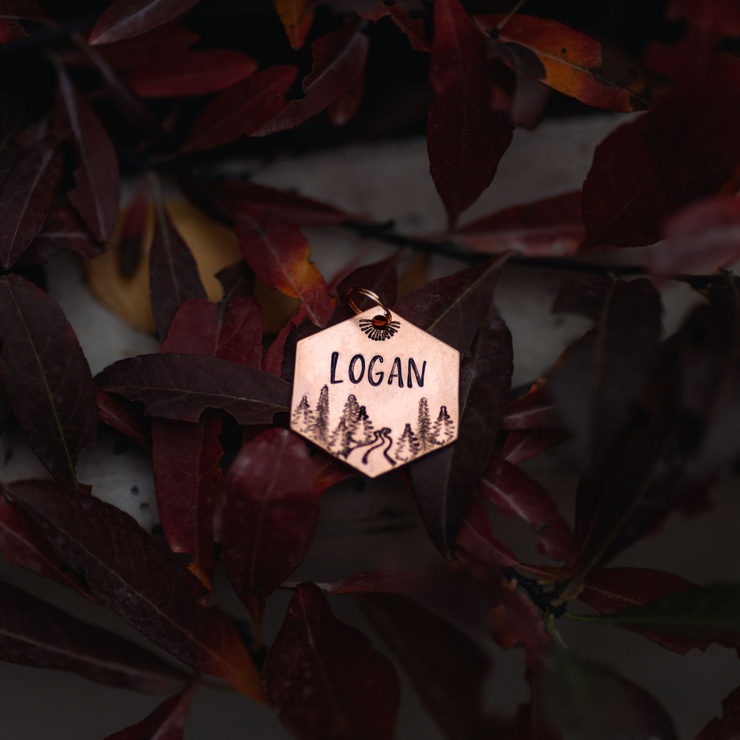 Adresówka dla psa SILENT PATH