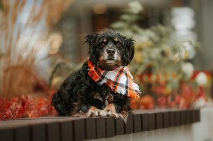 Bandana dla psa HUDSON