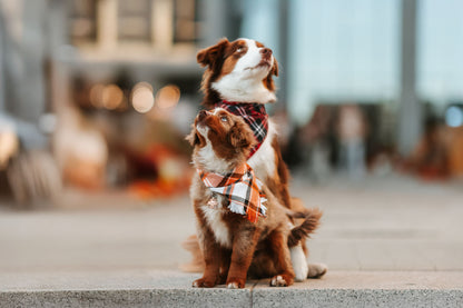 Bandana dla psa HUDSON