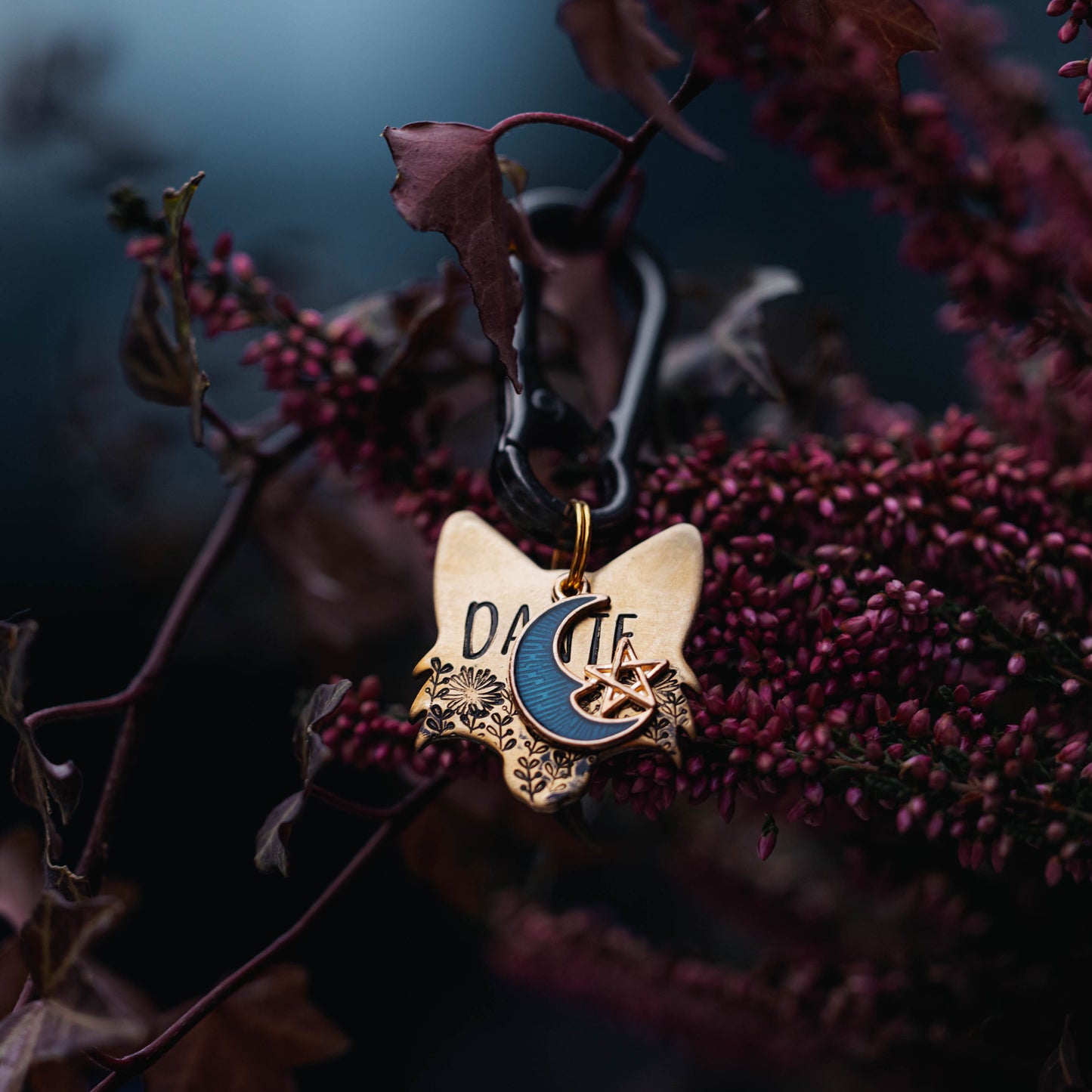 Adresówka dla psa NIGHT FOX - nocna edycja