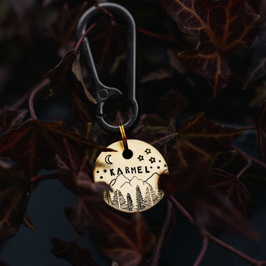 Adresówka dla psa SKYTRAILS