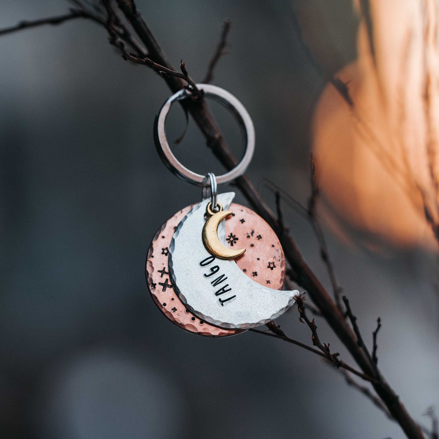 Adresówka dla psa MOONLIT DREAMS nocna edycja