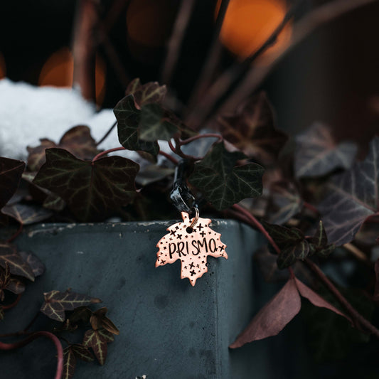 Adresówka dla psa Maple Glow