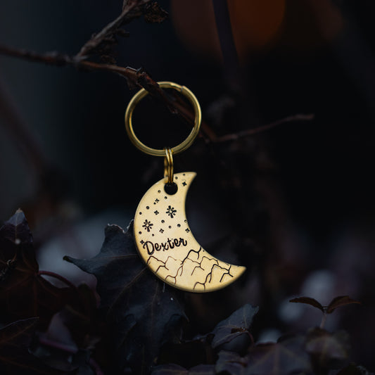 Adresówka dla psa MOONPEAK