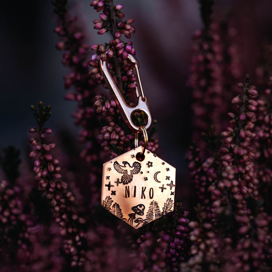 Adresówka dla psa CRYSTAL WINGS