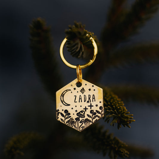 Adresówka dla psa LUNAR TRAIL