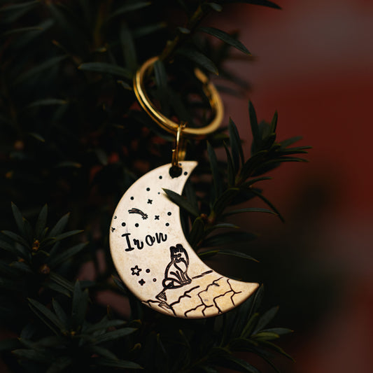 Adresówka dla psa GALAXY TRACK