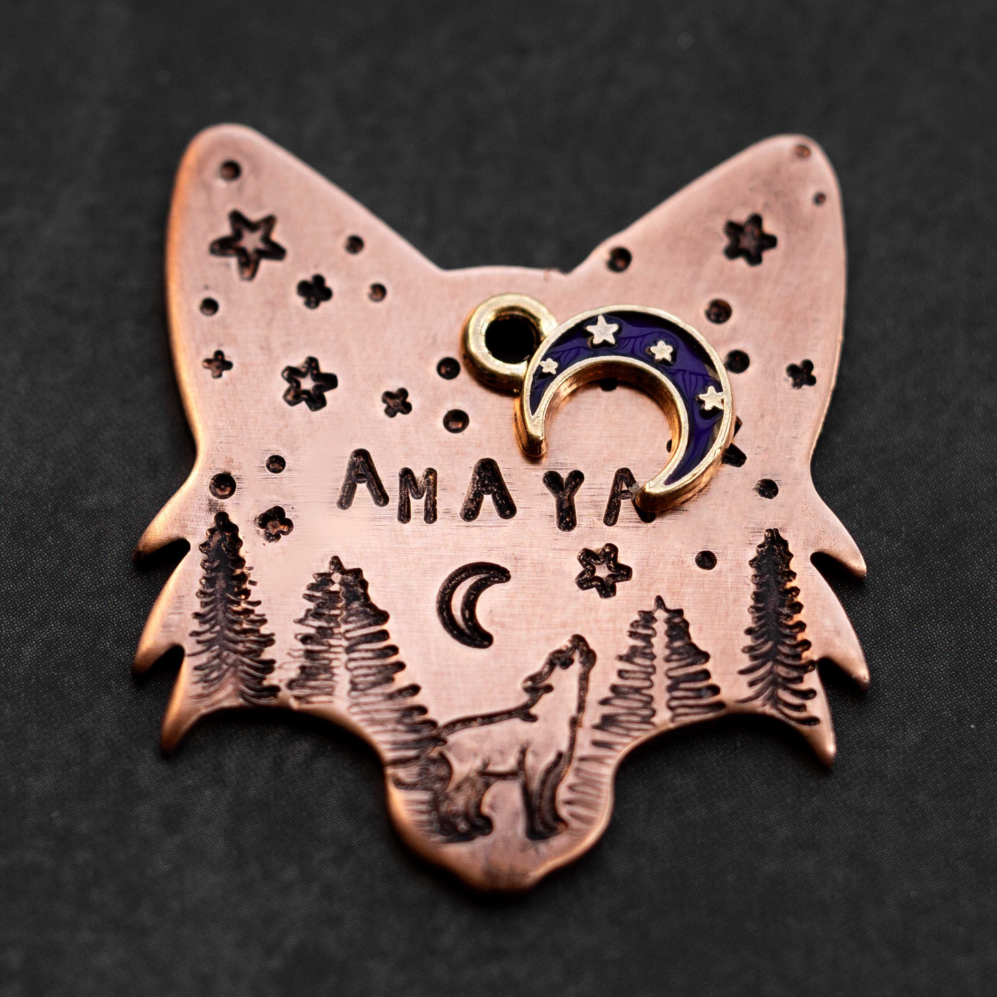 Adresówka dla psa WILD FOREST nocna edycja – BLACK DOG SHOP